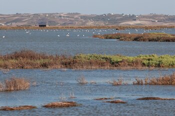 Parque Natural de Doñana (Rocío
