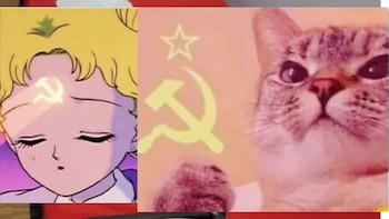 Usuarios compartieron memes de las