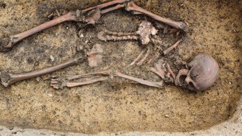 Todo lo que los arqueólogos