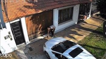 Indignante: un adolescente le aplastó la cabeza a un gato, huyó caminando y ahora lo investiga la Justicia