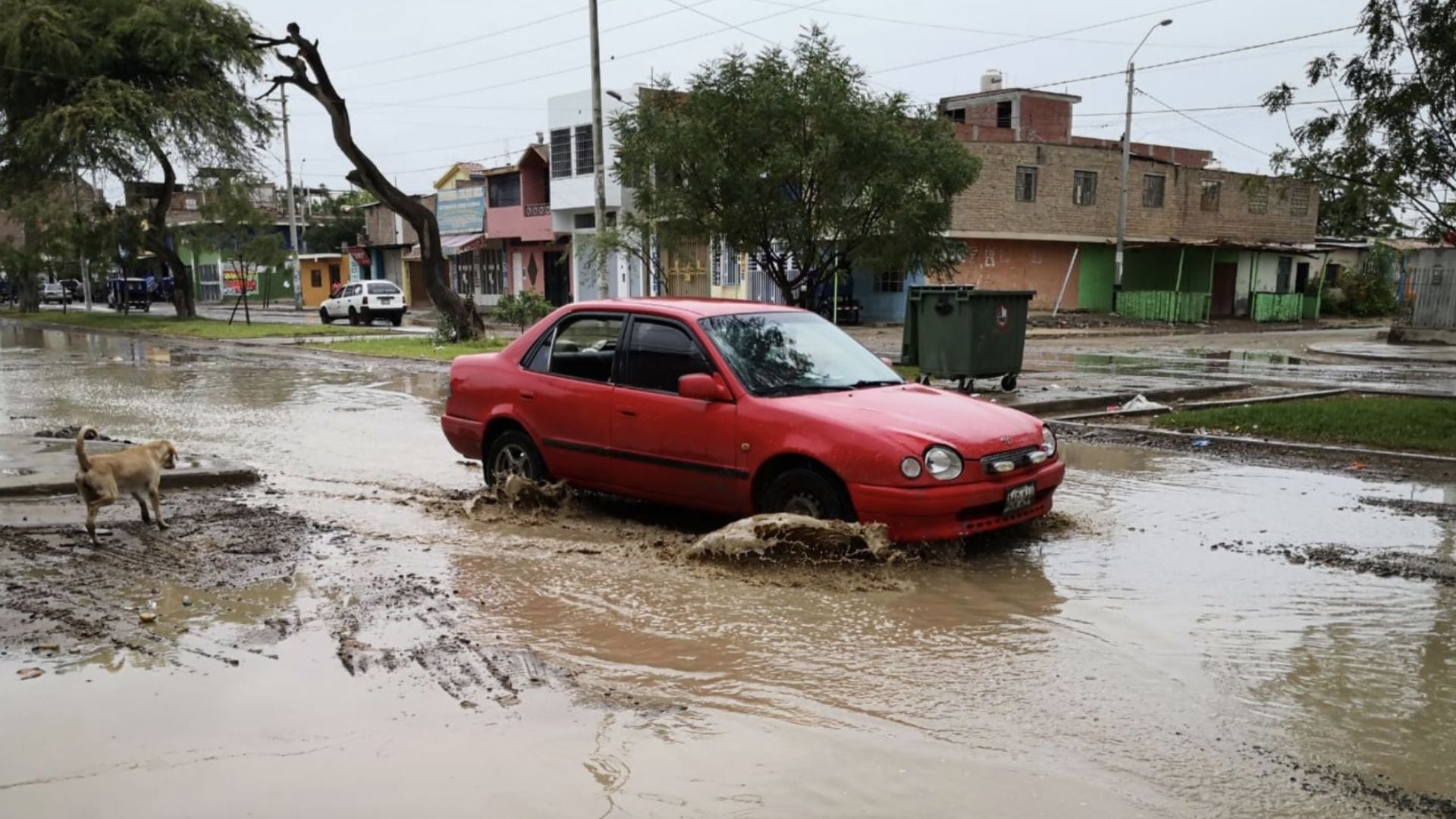 Las lluvias estarán acompañadas de descargas eléctricas y ráfagas de viento de hasta 35 km/h, aumentando los riesgos para la infraestructura local.