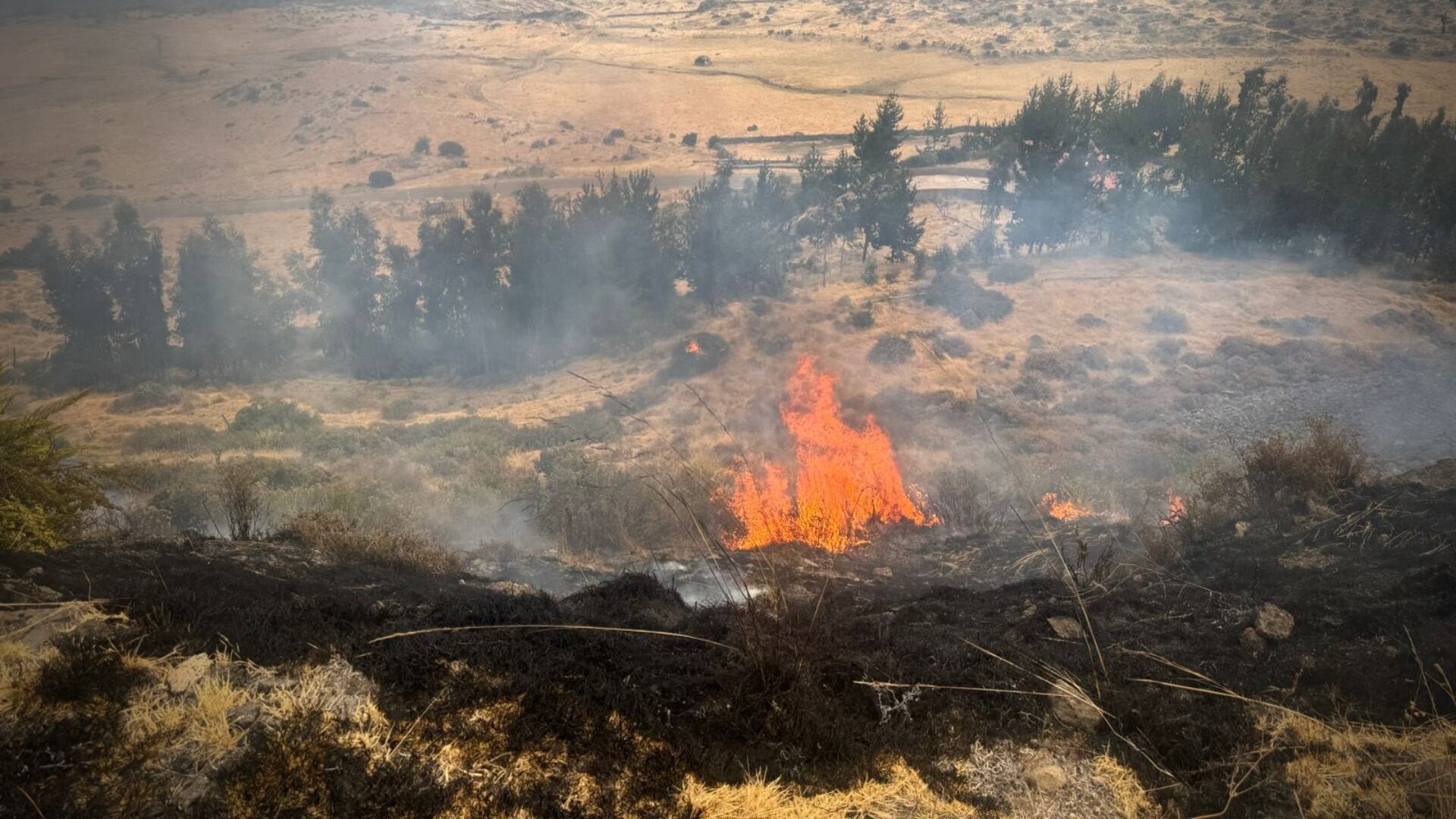 Las llamas arrasan con pastizales en la provincia de La Unión, región Arequipa, donde ya se reportan más de 200 hectáreas afectadas. (Foto: COER Arequipa)