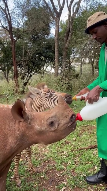 Tras ser rescatados en circunstancias