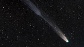 Inicio del 2022 será con