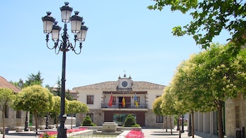 Una ayuda pionera para los