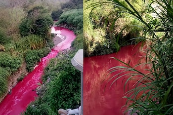 Dos fotografías de un río con agua de color rojo que fluye entre laderas cubiertas de vegetación verde.