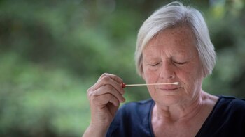 Cómo el olfato de una