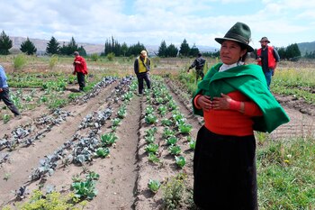 Mujeres rurales colombianas y sus hijos tienden a sufrir enfermedades respiratorias por el uso intensivo de leña y otros combustibles en las labores de cocina y calefacción del hogar. EFE/Nathalie Jiménez/Archivo