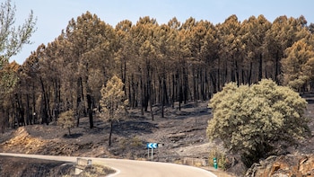 El incendio de La Mierla queda oficialmente extinguido tras 51 días desde que se originaron las llamas