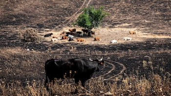 El Gobierno amplía su propuesta