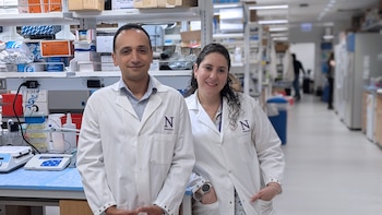 Los fármacos contra la gripe podrían ser una vía esperanzadora para reducir el deterioro cognitivo