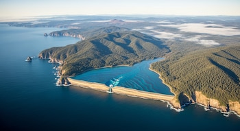 Vista aérea de una costa montañosa y boscosa junto al océano, con una franja geológica que muestra la subducción de una placa tectónica bajo otra.