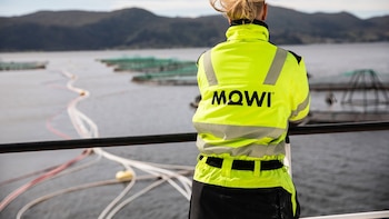 Mowi cierra 2025 con una