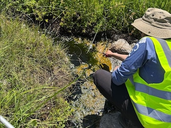 Persona con chaleco reflectante amarillo y sombrero agachada junto a un arroyo rodeado de hierba, tomando una muestra de agua