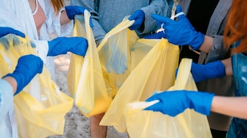 Día Internacional Libre de Bolsas de Plástico - Bolsas de Plástico – medioambiente – Perú – noticias – 3 julio