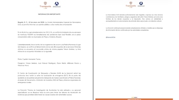 La Aeronáutica Civil lamentó la