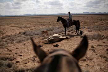 REUTERS/Jose Luis Gonzalez