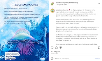 La Alcaldía de Cartagena y