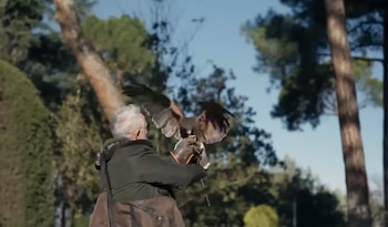 El cetrero Carlos Castaño, en