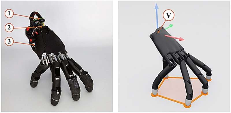 La anatomía inspirada en la mano humana dificulta la estabilidad por la longitud desigual de los dedos y la posición del pulgar (Gentileza, estudioFingers as Legs: Learning Self-Supported Locomotion and Manipulation with an Anthropomorphic Hand, publicado en arXiv)