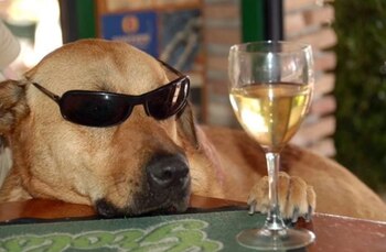 Winery at wolf creek en