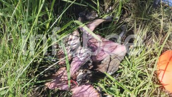 Chaco: las fotos de la