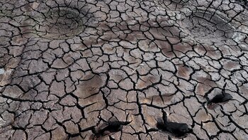 Más de 5.000 millones de