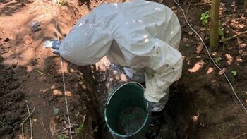 Una pareja se encuentra arrestada