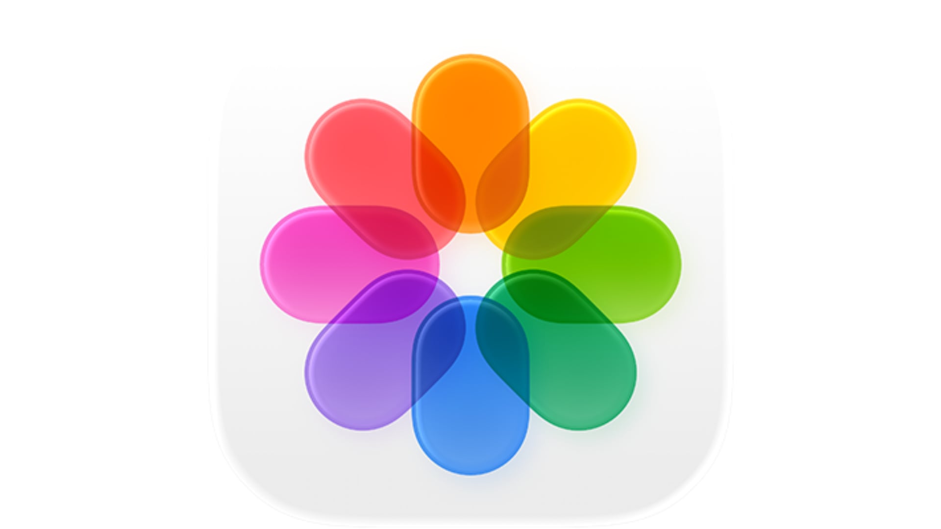 La aplicación Fotos recibiría tres herramientas de edición bajo el nombre Apple Intelligence Tools. (Apple)