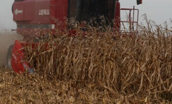 Sólo un trabajo coordinado de