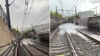 Captan el momento en el