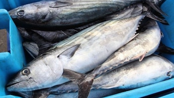 Ministerio de la Producción publica