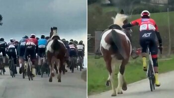 El impactante video que muestra