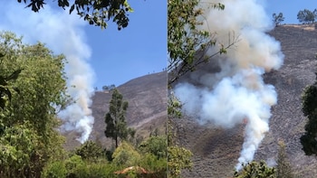 Columnas de humo blanco se elevan desde la ladera de una montaña boscosa parcialmente quemada junto a vegetación en primer plano