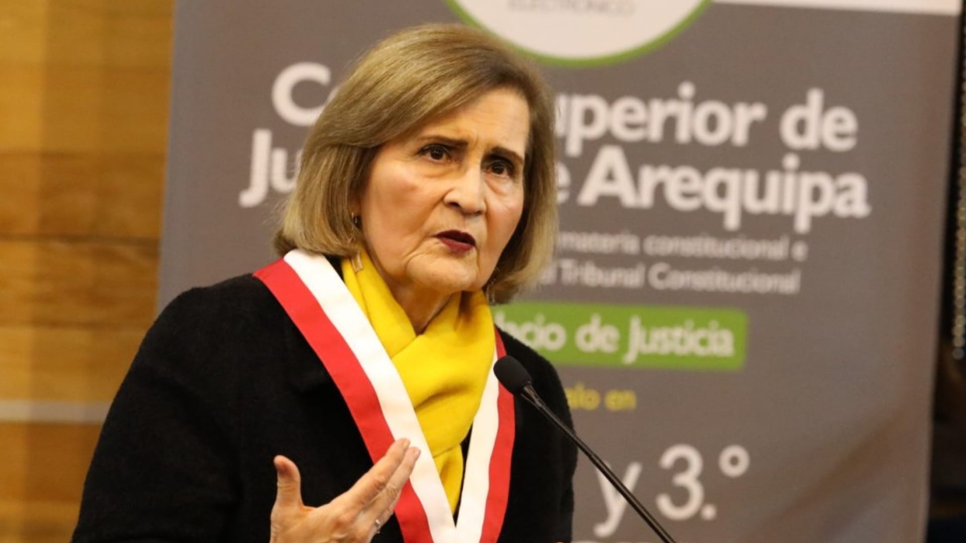 Luz Pacheco, presidenta del TC, afirmó semanas atrás haber detectado “algo irregular” en el trámite del caso y manifestó su preocupación por la rapidez con la que se programó la audiencia