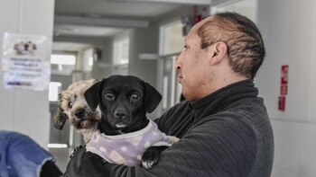 Es una gran oportunidad para