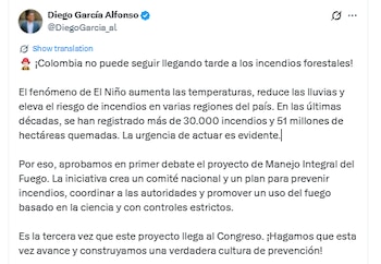 El congresista citó más de 30.000 incendios y 51'00.000 de hectáreas afectadas por el fuego en las últimas décadas - crédito @DiegoGarcia_al/X