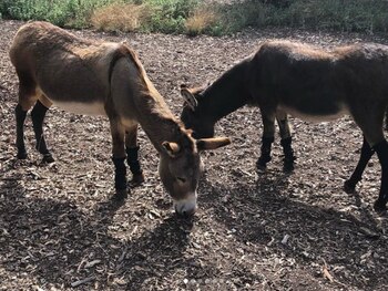 Perry compartía hogar con otros
