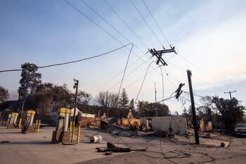 Documentos regulatorios revelan que el