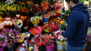 Primavera 2026: cuánto cuesta regalar flores y cuáles son las alternativas más económicas