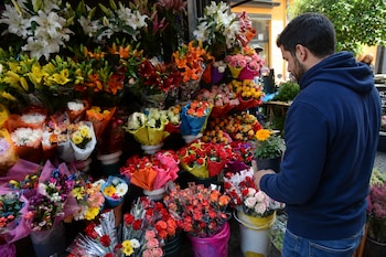 Un hombre con sudadera azul sostiene una planta en maceta frente a una exhibición de múltiples ramos de flores coloridas.