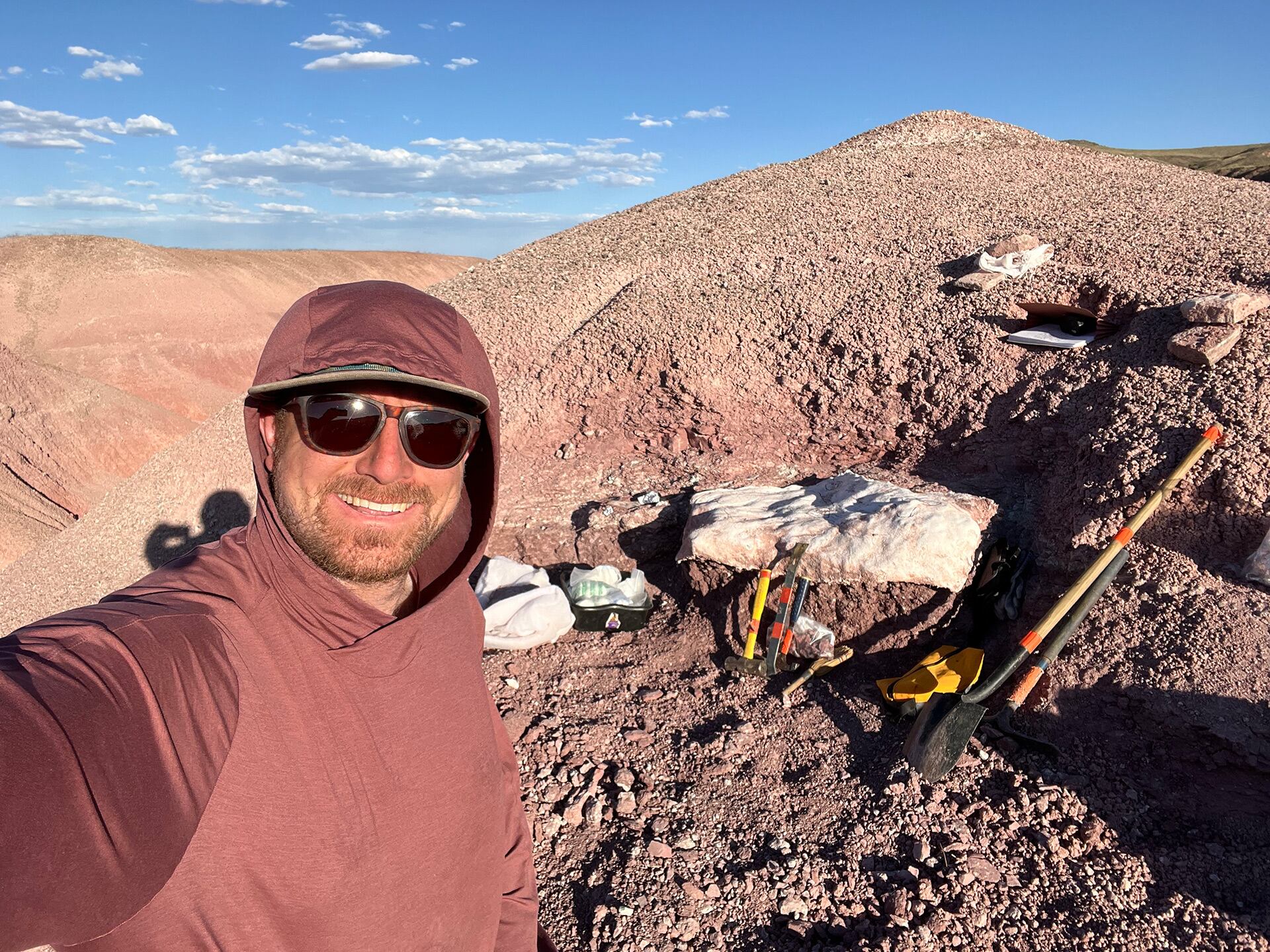 El hallazgo en el Bosque Petrificado aporta datos clave sobre la evolución y dispersión de los reptiles voladores (Ben Kligman/PNAS)