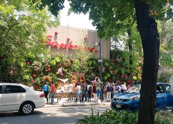 Se espera que los visitantes