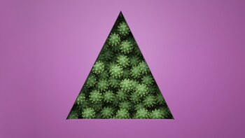 Ómicron causó una gran cantidad