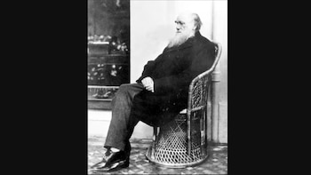 El naturalista inglés arribó al