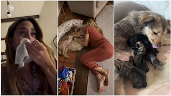 Las lágrimas de Jimena Barón por el parto de su perra adoptada: “Teníamos que atravesar esto juntas”