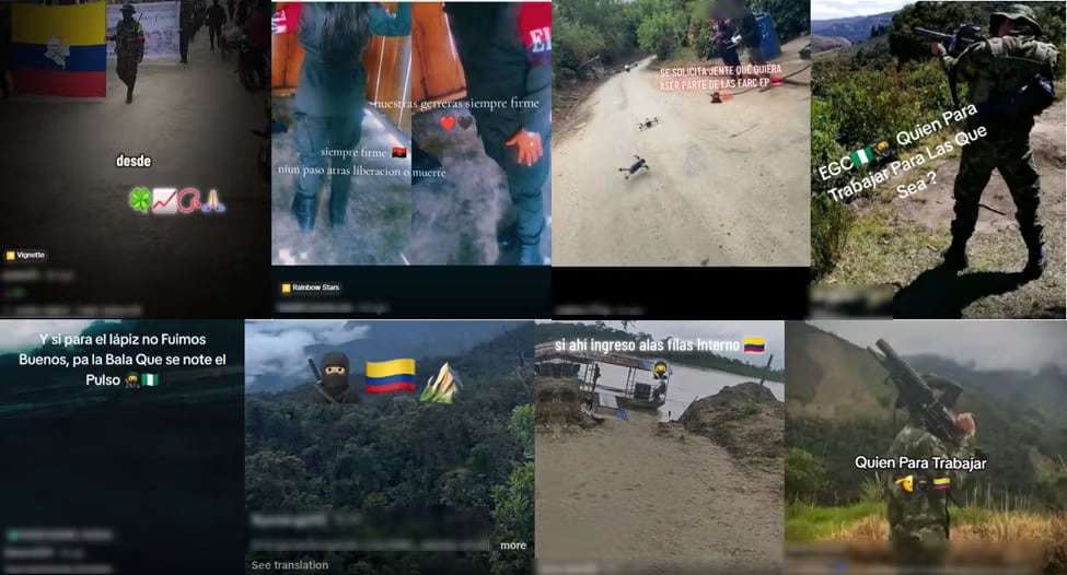 El nuevo equipo tendrá reuniones semanales para verificar los avances de los compromisos asumidos por las plataformas y otros actores del ecosistema digital en materia de prevención del reclutamiento - crédito Human Rights Watch