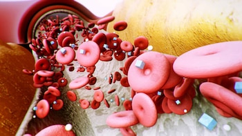 La glucosa cumple una función