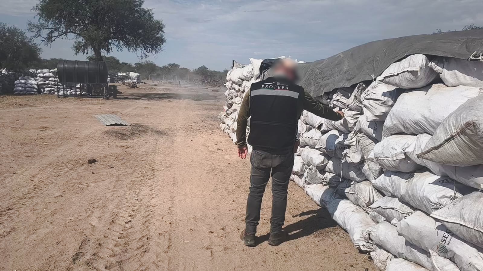 Profepa asegura más de 200 toneladas de carbón y clausura empresa en Durango. (Foto: Profepa)