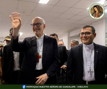 Las actividades se realizaron con